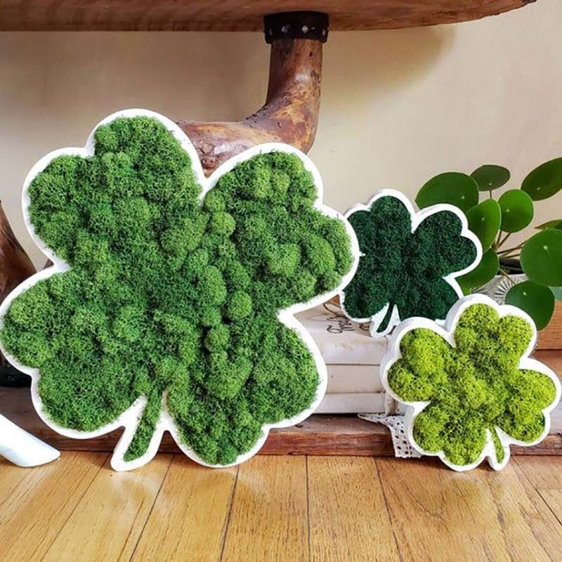 Custom Indoor Moss Grass Sign Wall Signage 3D Letter Moss Frame