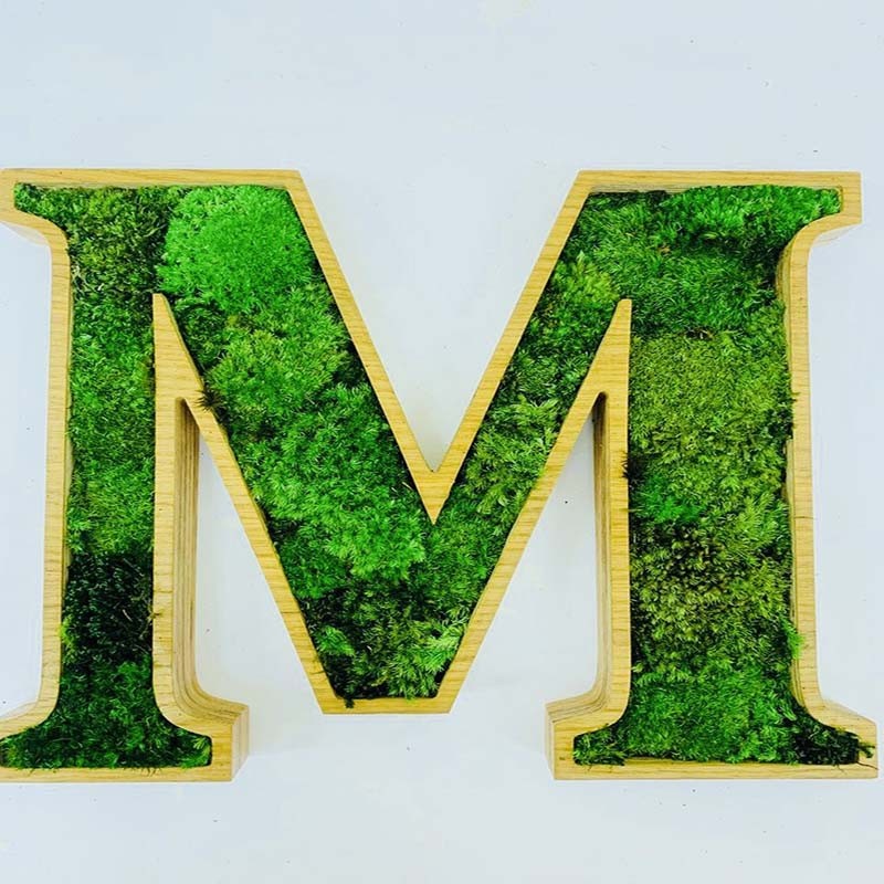 Indoor decorative moss 3D Plant letter plastic artificial moss grass wall